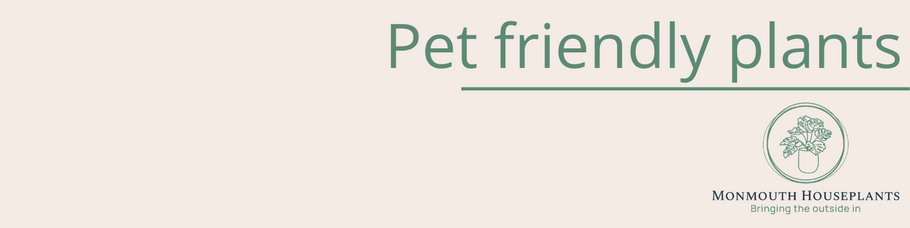 Pet friendly plants: