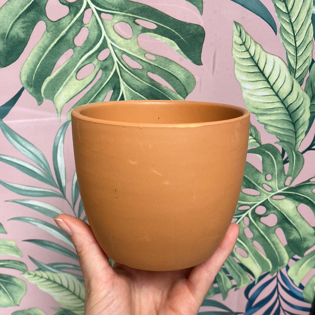 Terracotta boule pot - 10cm