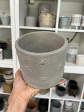 Load image into Gallery viewer, Bee cement pot 11cm
