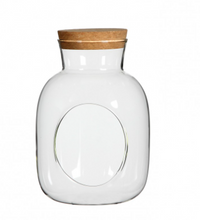 Load image into Gallery viewer, Oval glass bottle terrarium - Medium &amp; large
