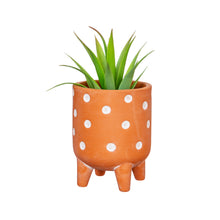 Load image into Gallery viewer, Polka Dot Leggy Planter - 7cm
