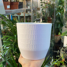 Load image into Gallery viewer, Nola plant pot - 12cm
