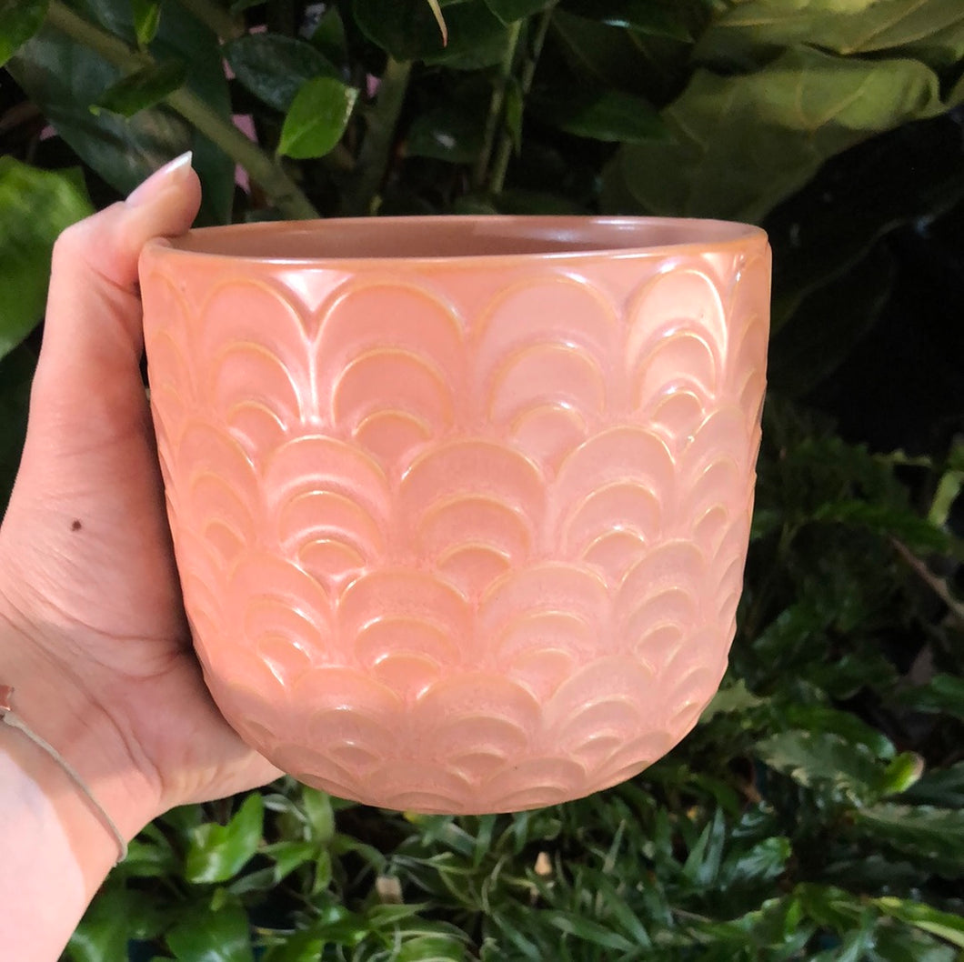 Patterned Peach plant pot ‘Como’ - 11cm