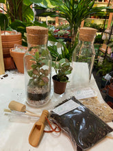 Load image into Gallery viewer, Small Carafe Terrarium with cork - 20cm
