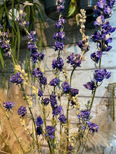 Load image into Gallery viewer, Dried Delphinium - Dried flowers bunch
