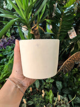 Load image into Gallery viewer, Painted Concrete plant pot - 8cm
