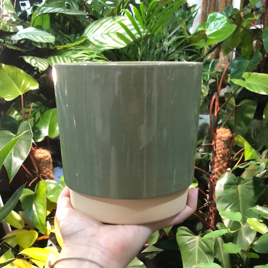 Ceramic 12cm Planter