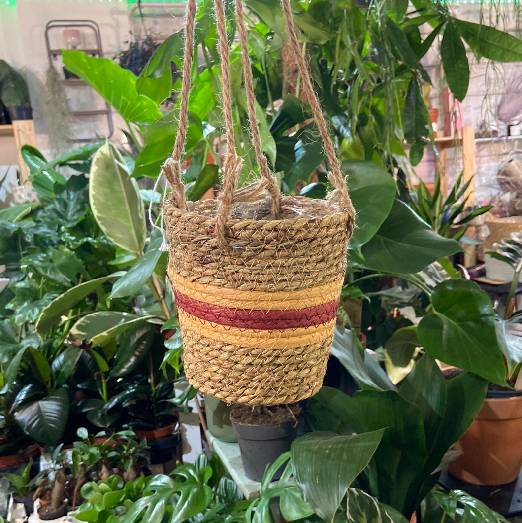 Burgundy striped hanging plant pot - 11cm / 13cm / 15cm