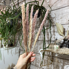 Load image into Gallery viewer, Mini natural pampas - dried bloom
