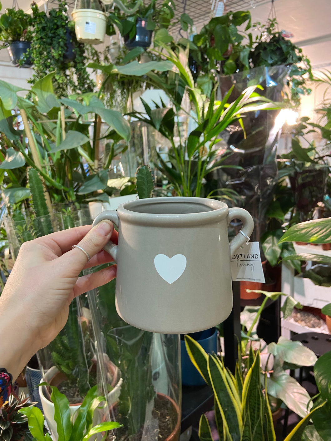 Grey jug planter with heart detail
