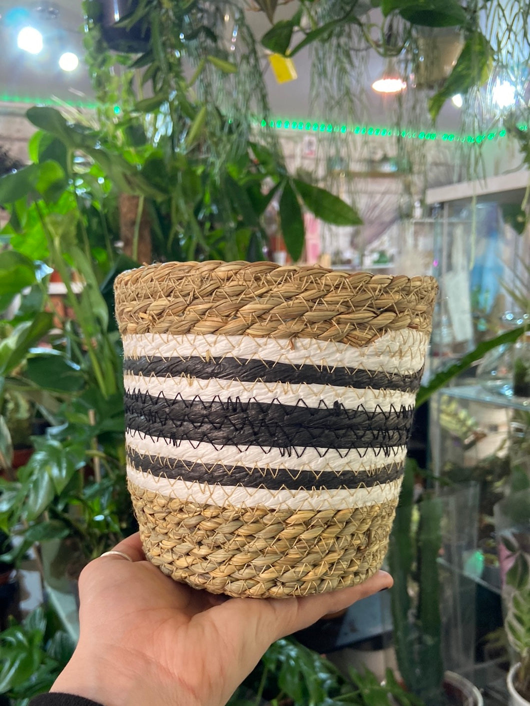 Black Striped Seagrass plant pot - 11cm / 13cm / 15cm / 17cm