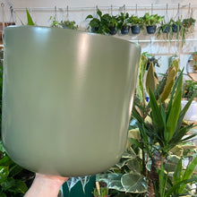 Load image into Gallery viewer, Green plain plant pot - 10cm 12cm 14cm 17cm 25cm
