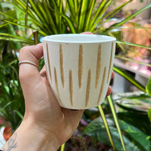 Load image into Gallery viewer, White Sgraffito plant pot - 6.5cm / 11cm
