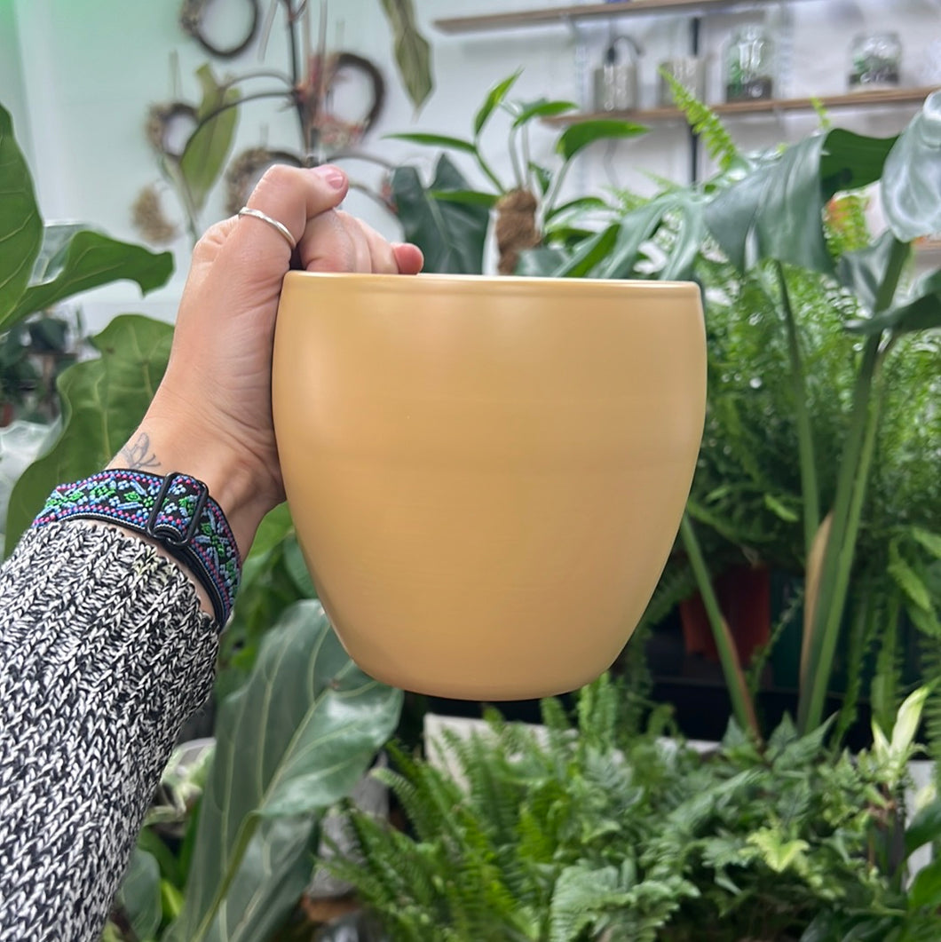 Mustard Boule plant pot