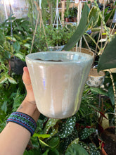 Load image into Gallery viewer, Chunky glazed plant pot - 9cm 11cm 12cm 17cm 21cm
