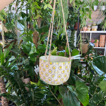 Load image into Gallery viewer, Green &#39;Ria&#39; Hanging Planter - 10.5cm
