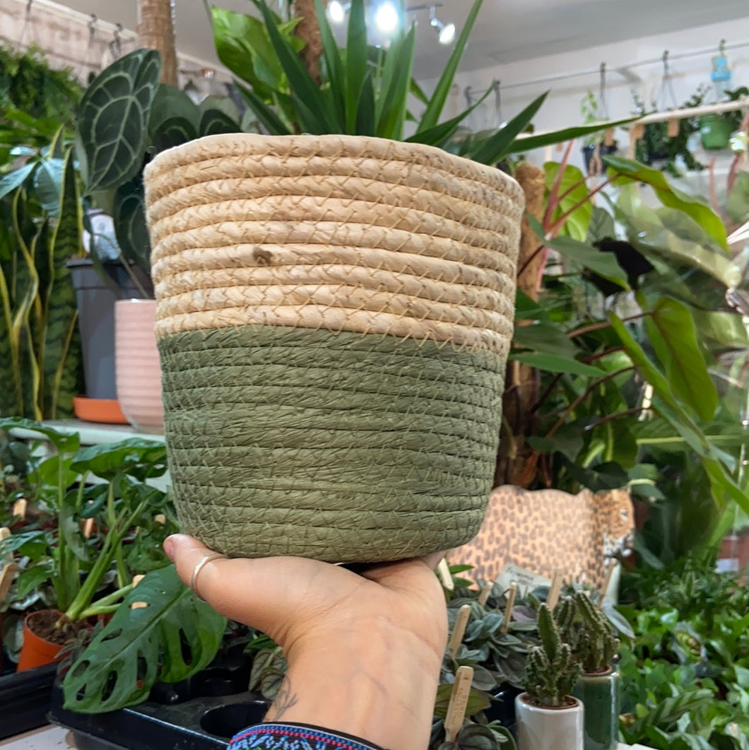 Natural & Green Seagrass basket plant pot - 15cm