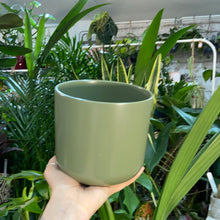 Load image into Gallery viewer, Green plain plant pot - 10cm 12cm 14cm 17cm 25cm
