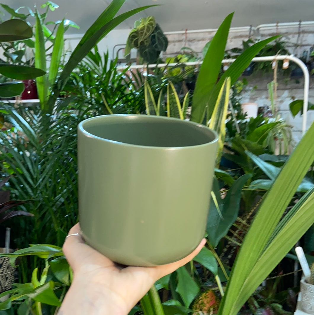 Green plain plant pot - 10cm 12cm 14cm 17cm 25cm