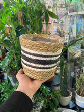 Load image into Gallery viewer, Black Striped Seagrass plant pot - 11cm / 13cm / 15cm / 17cm

