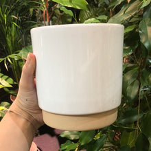 Load image into Gallery viewer, Ceramic 12cm Planter
