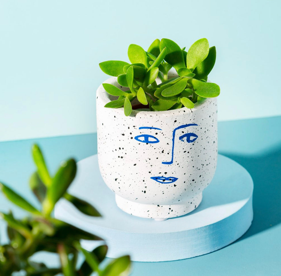 Blue & White face plant pot - 6cm 11cm 'Milo'