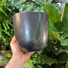 Load image into Gallery viewer, Charcoal plant pot - 6cm / 13cm
