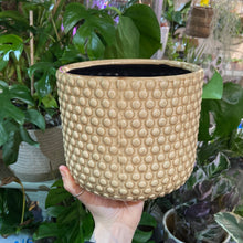 Load image into Gallery viewer, Dotty glazed ceramic pot brown - 9cm 15cm
