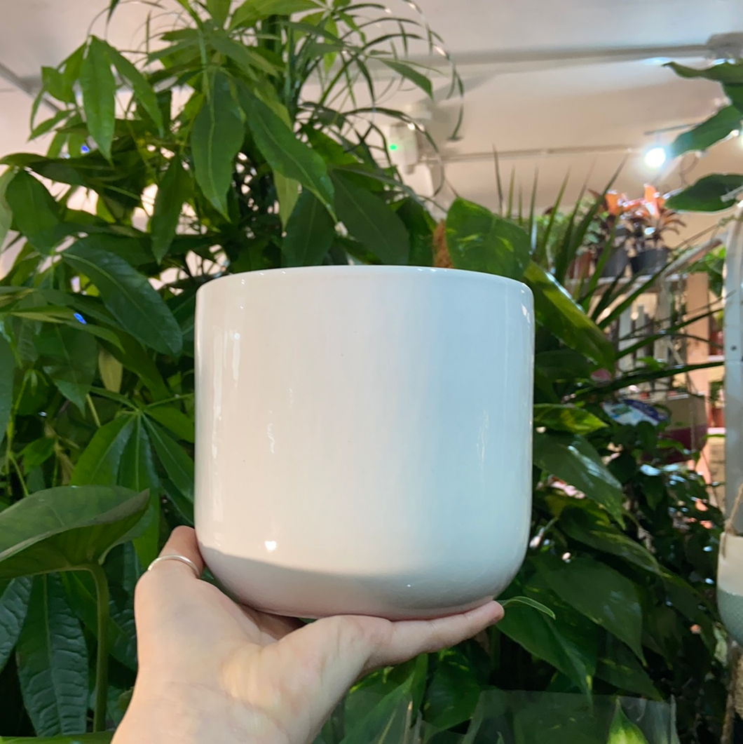Glaze planter White / Green - 10.5cm 12cm 15cm
