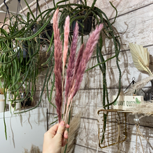 Load image into Gallery viewer, Mini pink pampas - dried bloom

