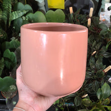 Load image into Gallery viewer, Pink plant pot ‘Amber’ - 12cm
