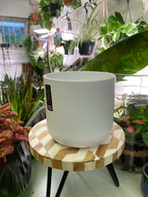 Load image into Gallery viewer, White plain plant pot - 10.5cm 12cm 14cm 17cm 19cm 22cm 23cm 25cm

