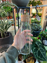 Load image into Gallery viewer, Small Carafe Terrarium with cork - 20cm
