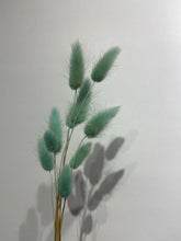 Load image into Gallery viewer, Dried Bunny tail - Lagurus ovatus
