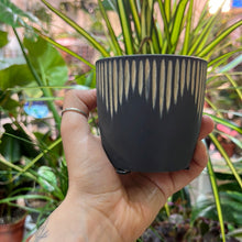 Load image into Gallery viewer, Black Sgraffito plant pot - 6.5cm / 11cm
