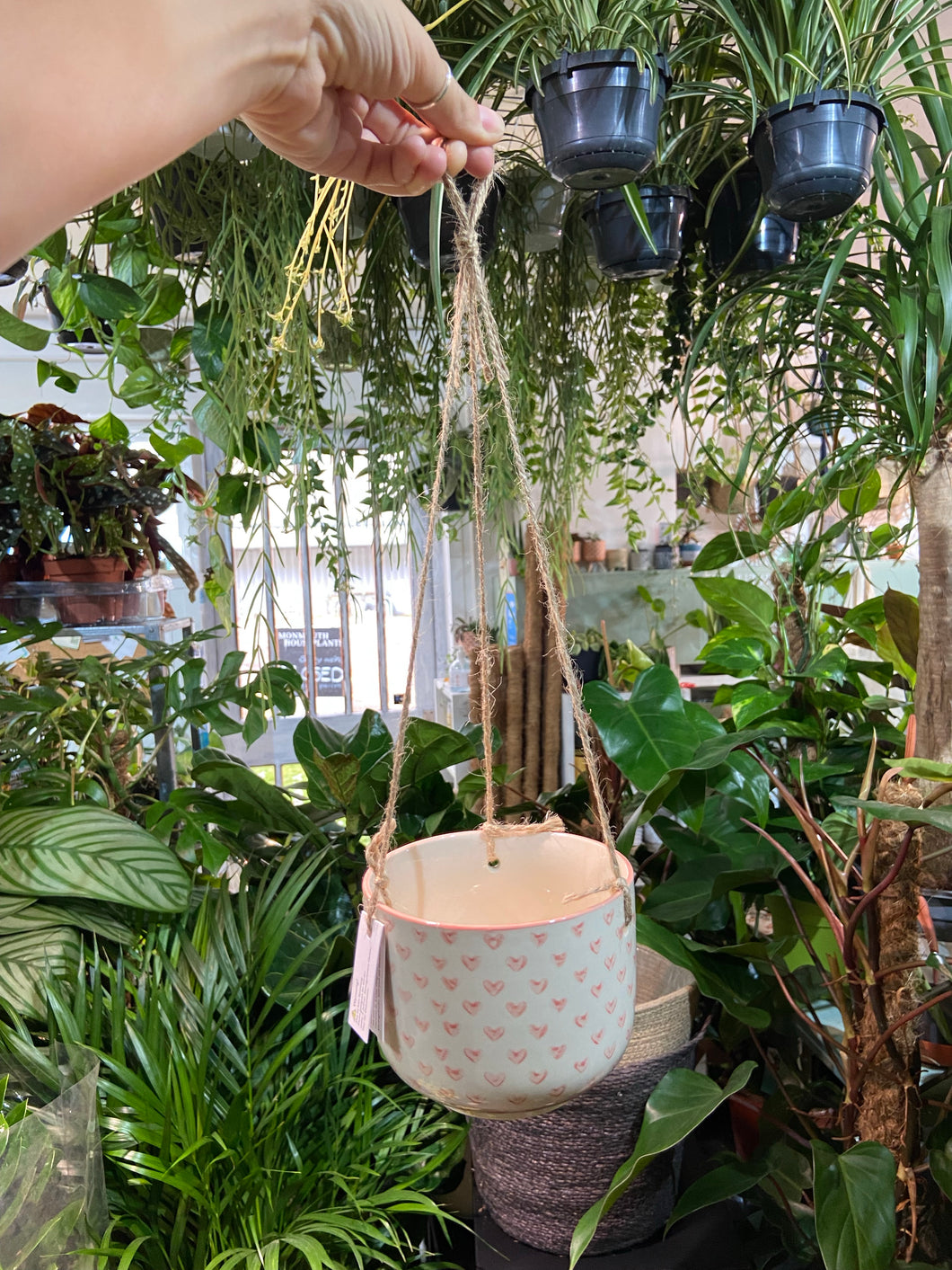 Sweetheart Pink hanging planter - 10.5cm