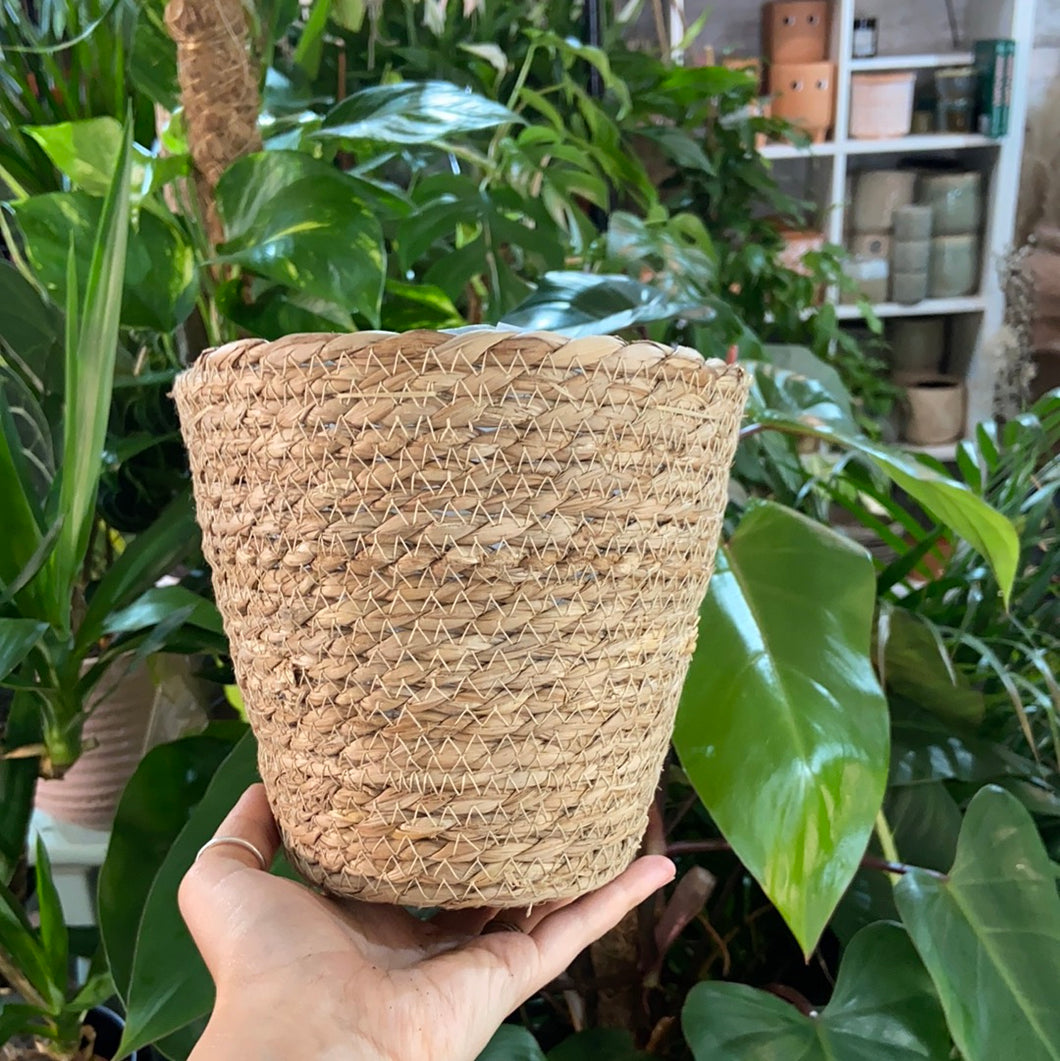 Natural Seagrass basket - Tapered