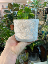 Load image into Gallery viewer, Stoneware Ginkgo leaf Concrete planter 9.5cm / 12cm / 15cm
