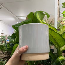 Load image into Gallery viewer, Eno Ceramic plant pot - 12cm Green Mustard Grey

