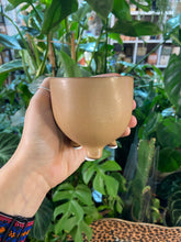 Load image into Gallery viewer, Leggy planter Terracotta Green Cream - 6cm
