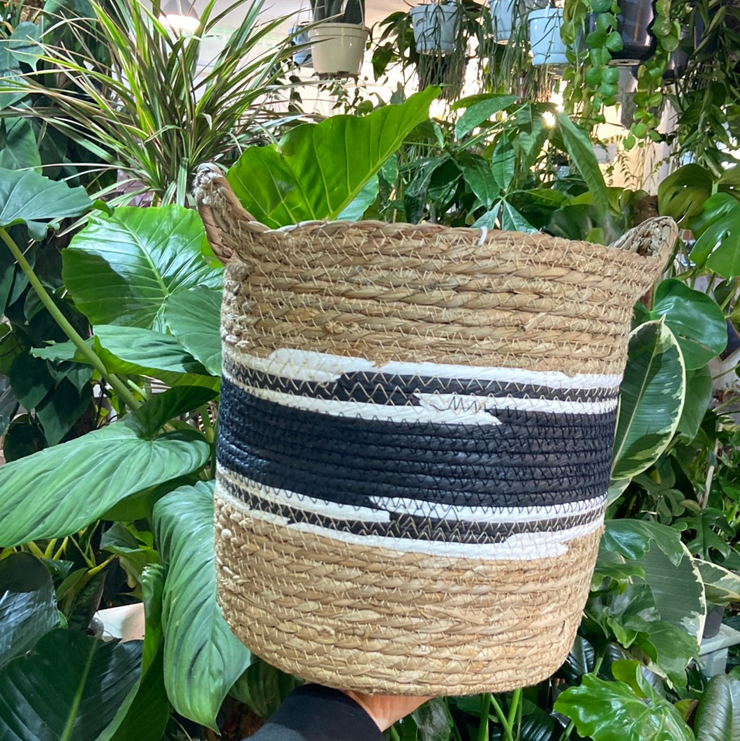 Black stripe Seagrass basket with handles - 22cm 25cm 30cm