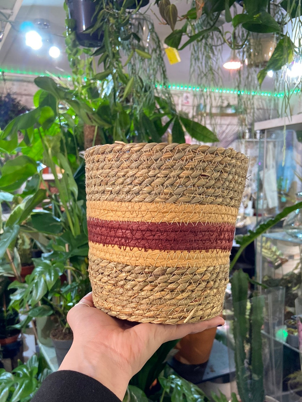 Red Striped Seagrass plant pot - 11cm / 13cm / 15cm / 17cm