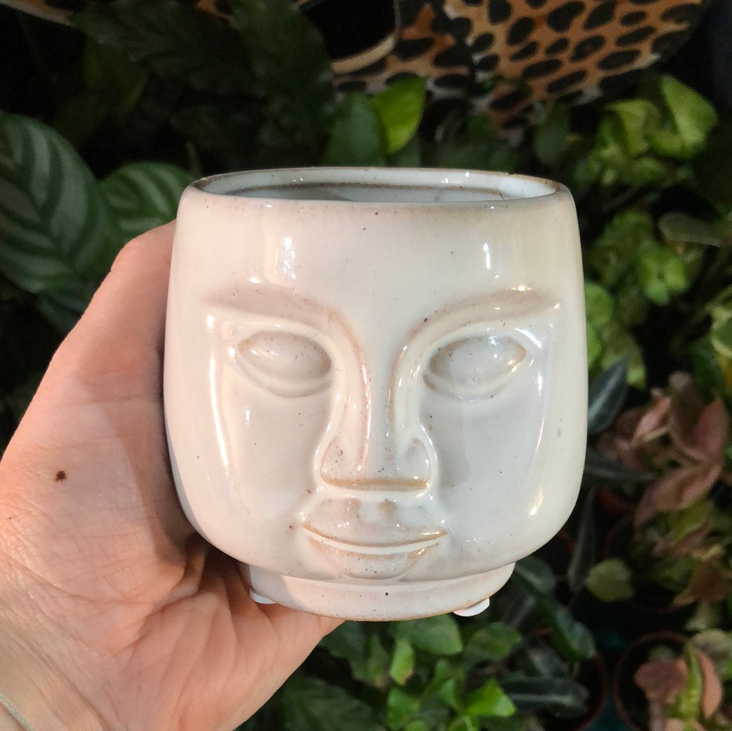 Ceramic glazed face plant pot - 7cm