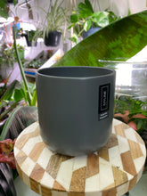Load image into Gallery viewer, Charcoal plain plant pot - 10cm 13cm 14cm 17cm 19cm
