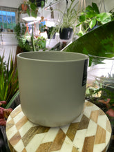 Load image into Gallery viewer, Light grey plain plant pot - 10cm 12cm 14cm 17cm 19cm 22cm
