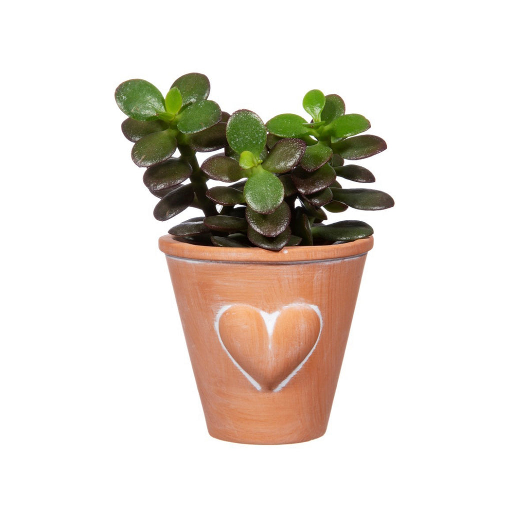 Mini terracotta heart planter 6.5cm