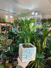Load image into Gallery viewer, Terrazzo Stone plant pot - 9cm / 12cm
