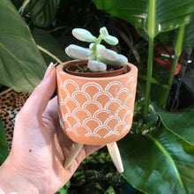 Load image into Gallery viewer, Patterned Terracotta Leggy Planter - 6cm
