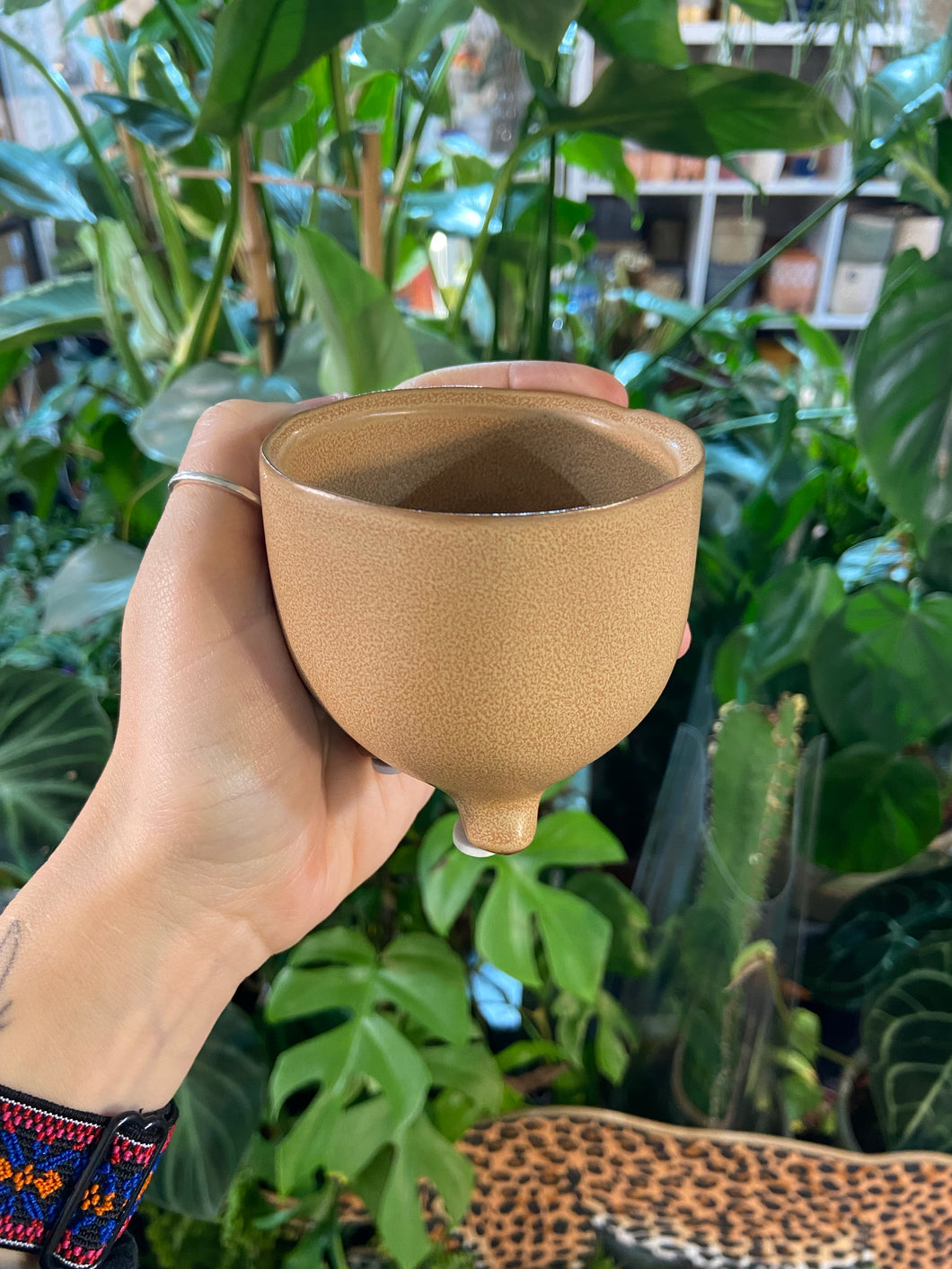 Leggy planter Terracotta Green Cream - 6cm