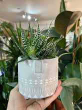 Load image into Gallery viewer, Stoneware face planter 9.5cm / 12cm
